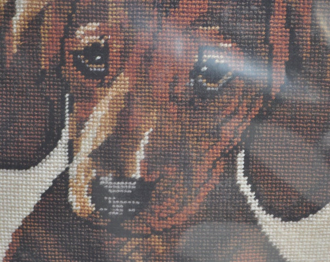 Dachshund Dog Needlepoint Kit From the Collection of Lani Etsy