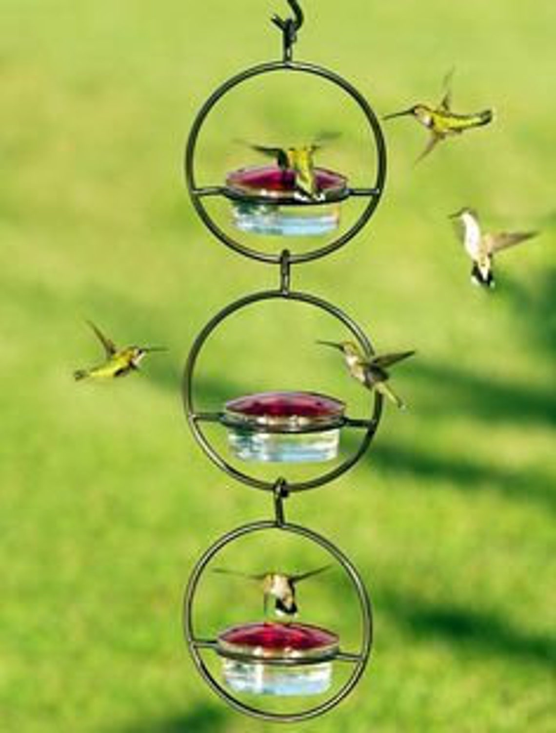 Drip Free Hummingbird Feeders Asst. Colors Etsy