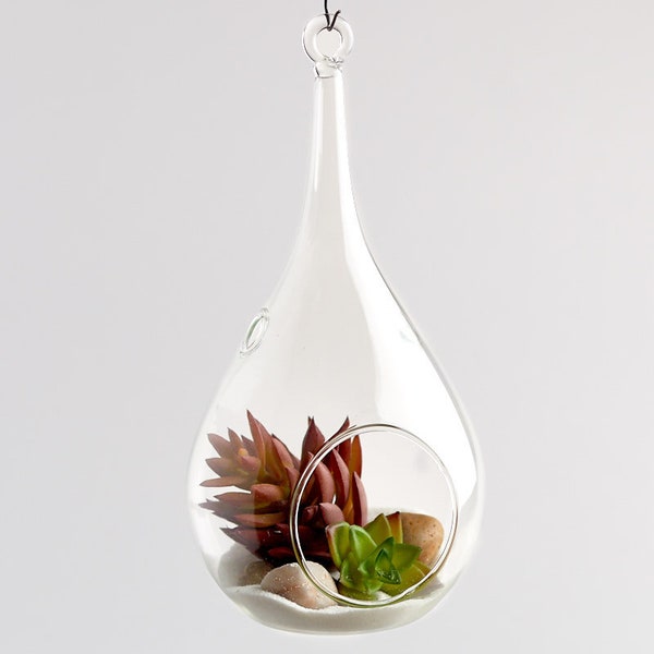 Teardrop Terrarium Etsy