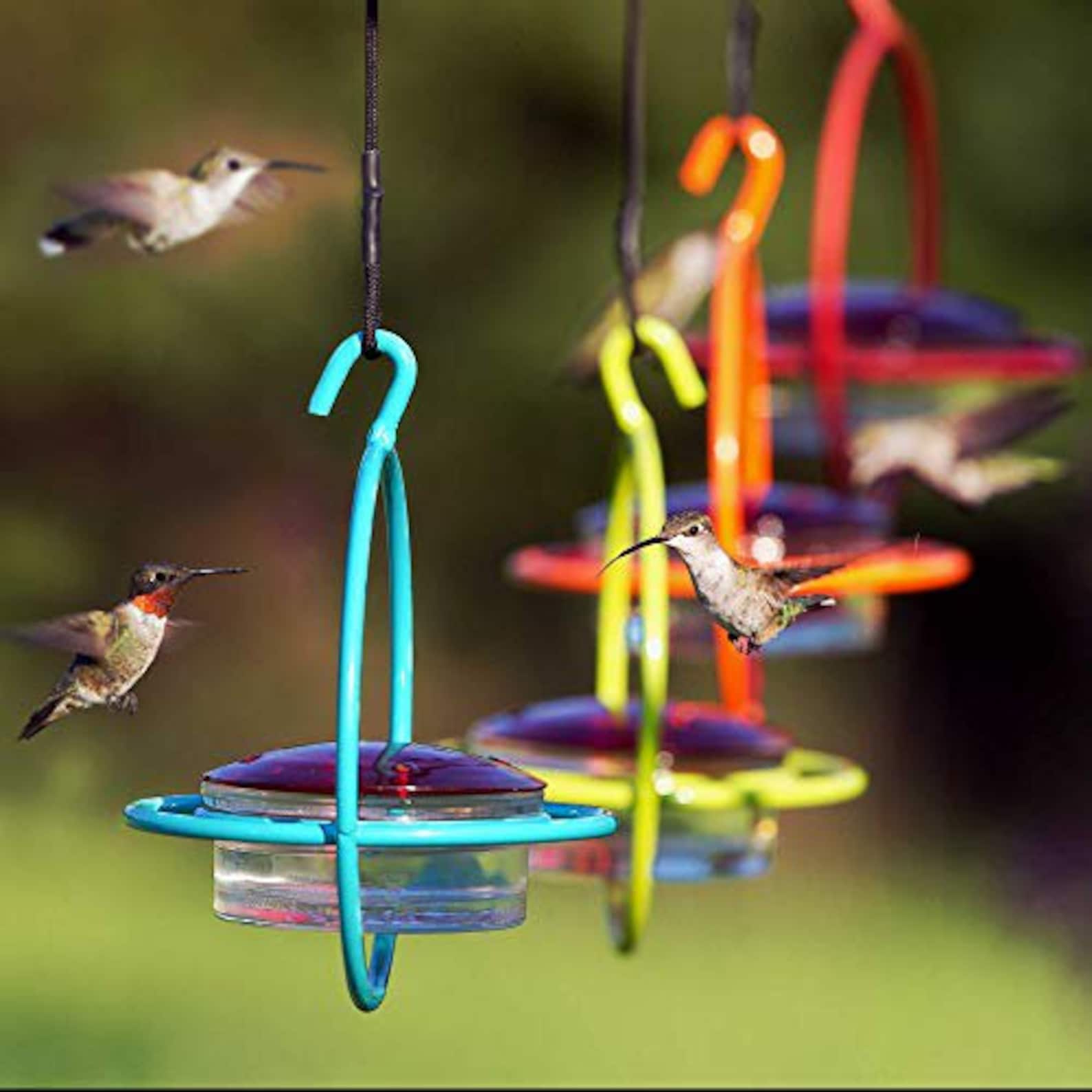 Drip Free Hummingbird Feeders Asst. Colors Etsy