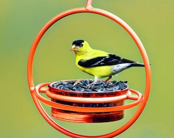 Bird Feeder replacement bottom glass