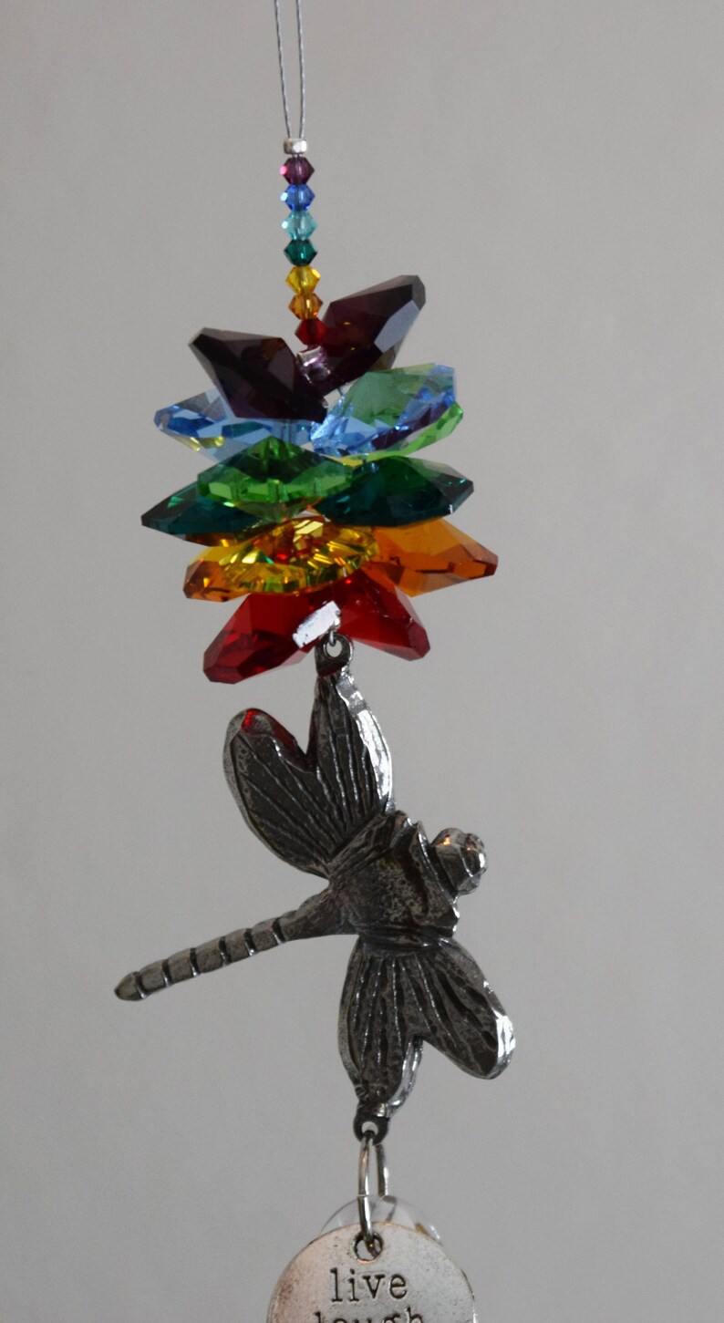 Dragonfly Rainbows