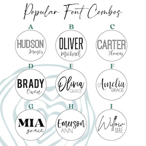 May include: A graphic showcasing nine popular font combinations for names. Each combination is displayed within a white circle, featuring names like Hudson, Oliver, Carter, Brady, Olivia, Amelia, Mia, Emerson, and Willow. The text "Popular Font Combos" is at the top.