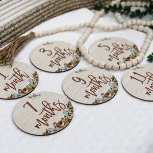 May include: A set of six wooden monthly milestone discs. Each disc features a floral design and the month number in a dark brown script. The discs are arranged on a white surface with a decorative beaded garland.