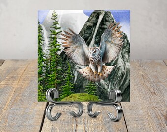 White Owl Rocky Mountain Absorbent Sandstone Ceramic Square Coaster Set with Cork Backing for Extra Protection