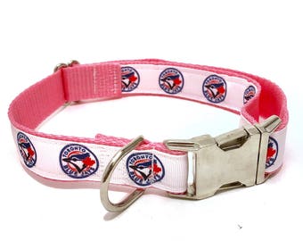 dog collars toronto
