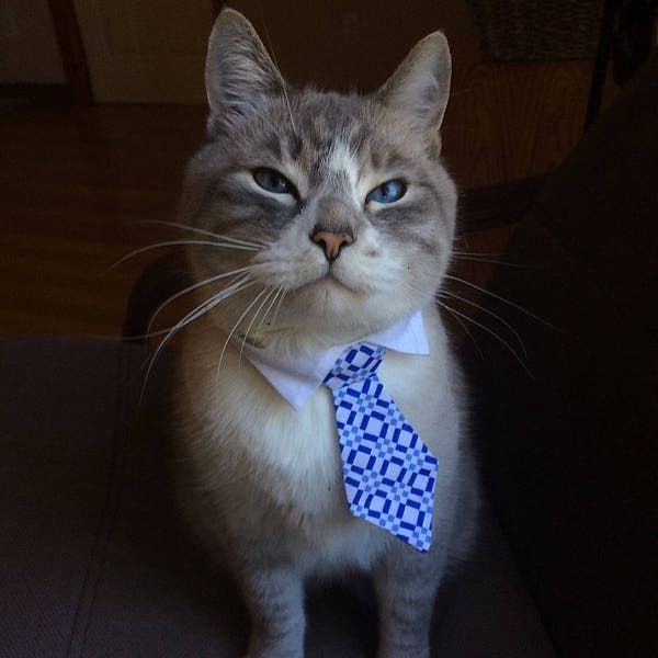 Blue Check Cat Necktie, Cat Tie Collar, Neckties for Cats