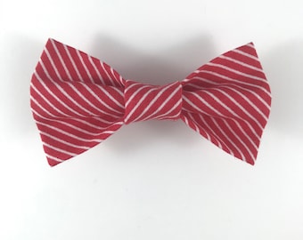 Red Pinstripe Cat Bow tie collar