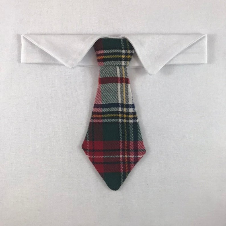 necktie collar