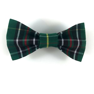 Green Plaid Cat Bow tie collar