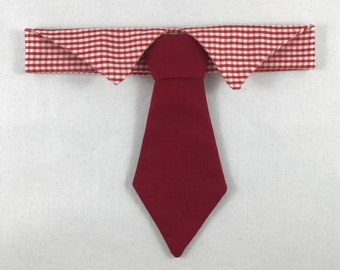 Red Cat Necktie with Gingham Collar