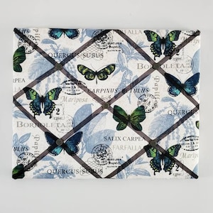 Tableau Vision papillon - Tableau à épingles crème - Tableau insecte Français - Tableau ruban monarque - Tableau mémoire vert - Tableau d'affichage bleu