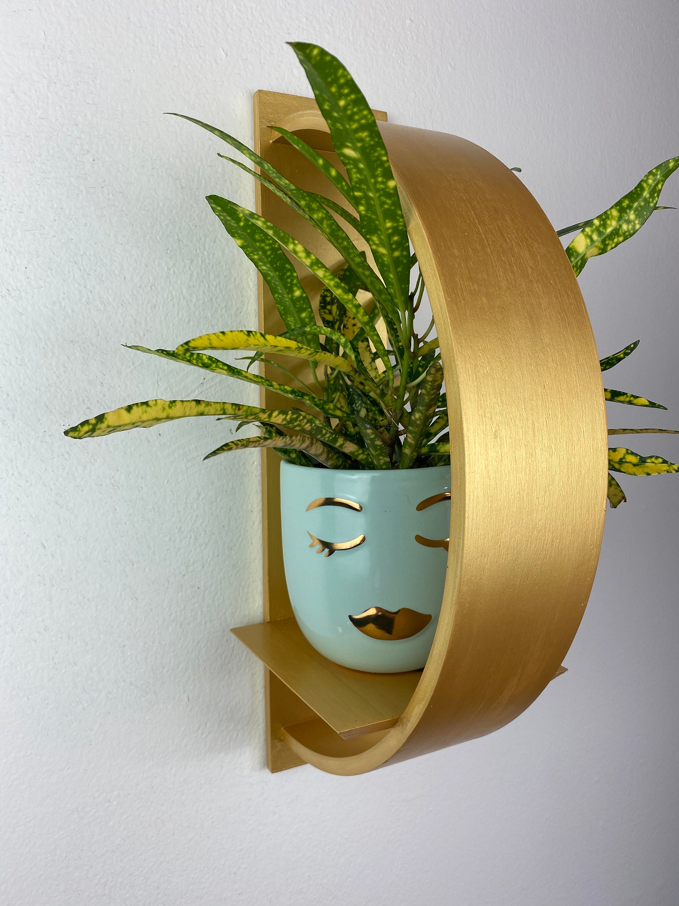 Étagère De Plante Murale