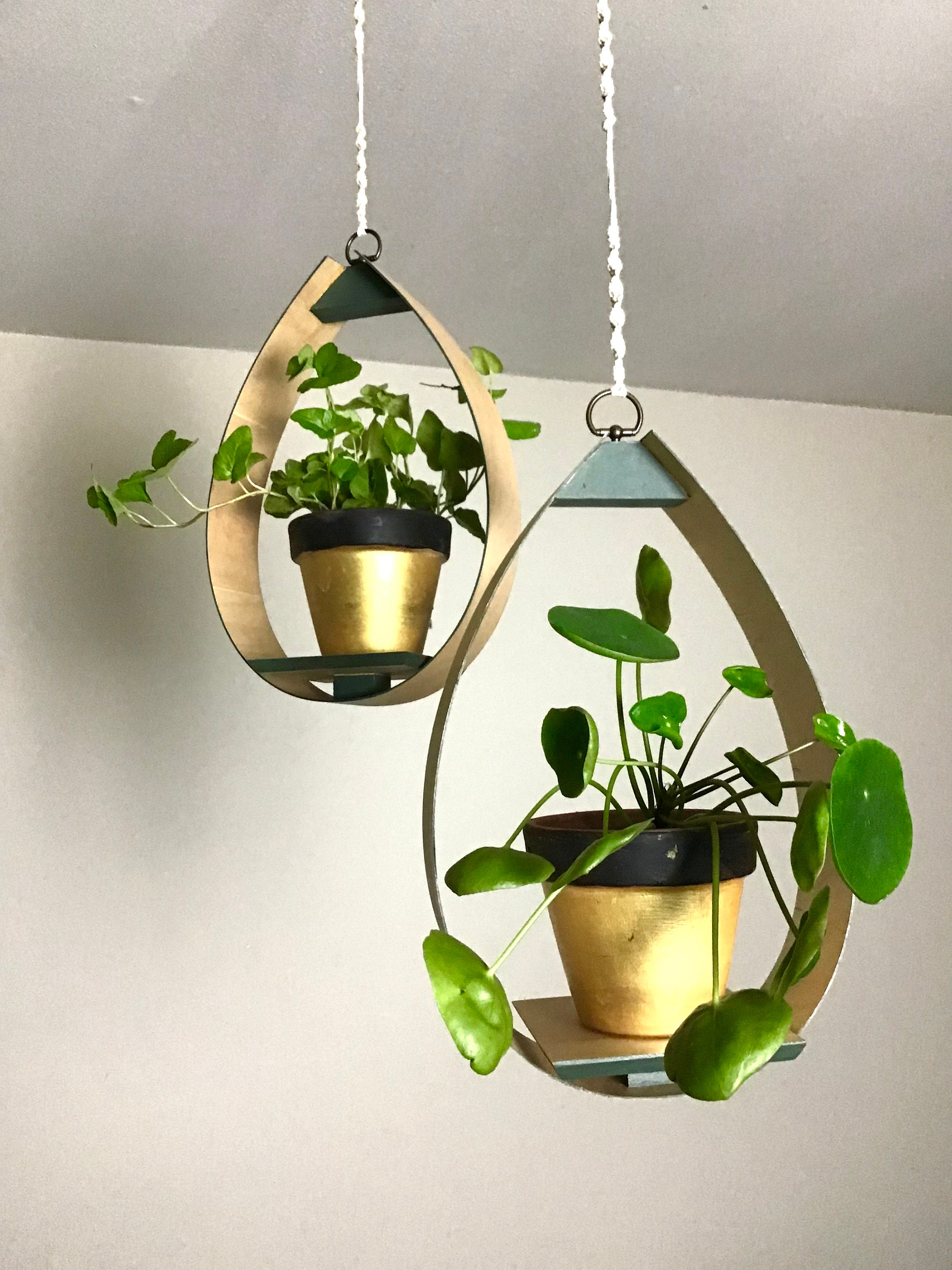 Macrame Hanging Plant Shelf: Maple Veneer Dewdrop Design - Etsy