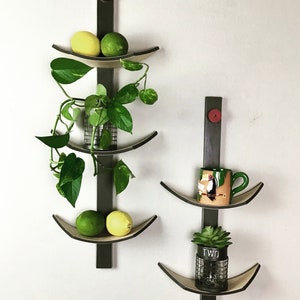 Puede incluir: Un conjunto de dos estantes de pared de metal negro con estantes curvos. Los estantes están decorados con plantas, fruta y una taza con un diseño de tucán. Un estante tiene la palabra "TWO" escrita en él.