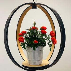 May include: A hanging planter with a black metal frame and a light wood interior. A white, ribbed pot filled with red roses sits on a wooden shelf. The planter is suspended from a chain.