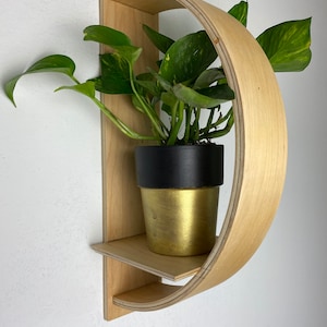 Puede incluir: Una estantería de pared de madera con un diseño curvo. La estantería tiene una pequeña plataforma y una estantería curva más grande. Una planta en maceta con hojas verdes está en la estantería.
