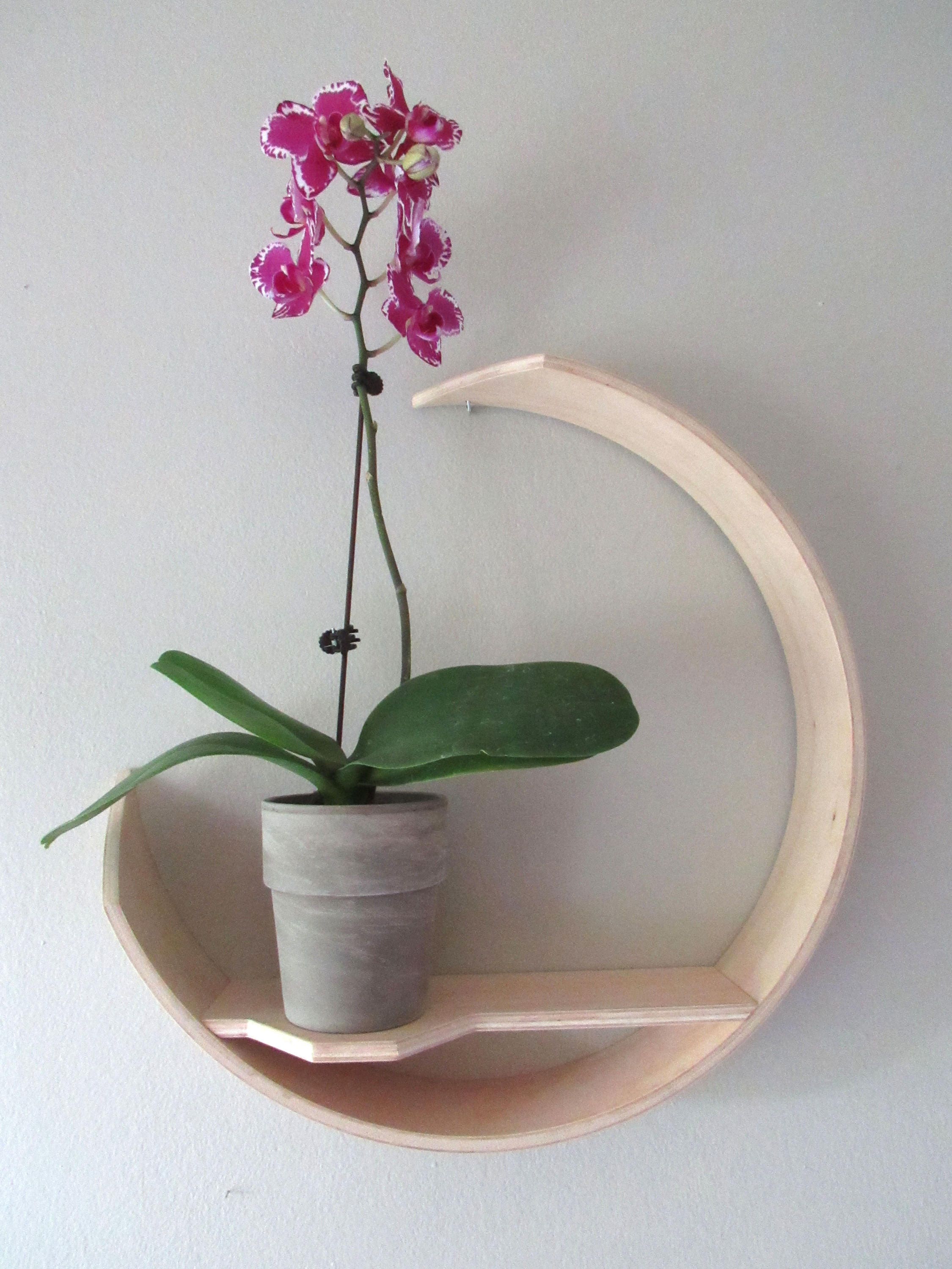 Fabriquer Une Etagere Pour Orchidée Décor mural Étagère de plantes Étagère de fleurs Cadeau pour - Etsy France