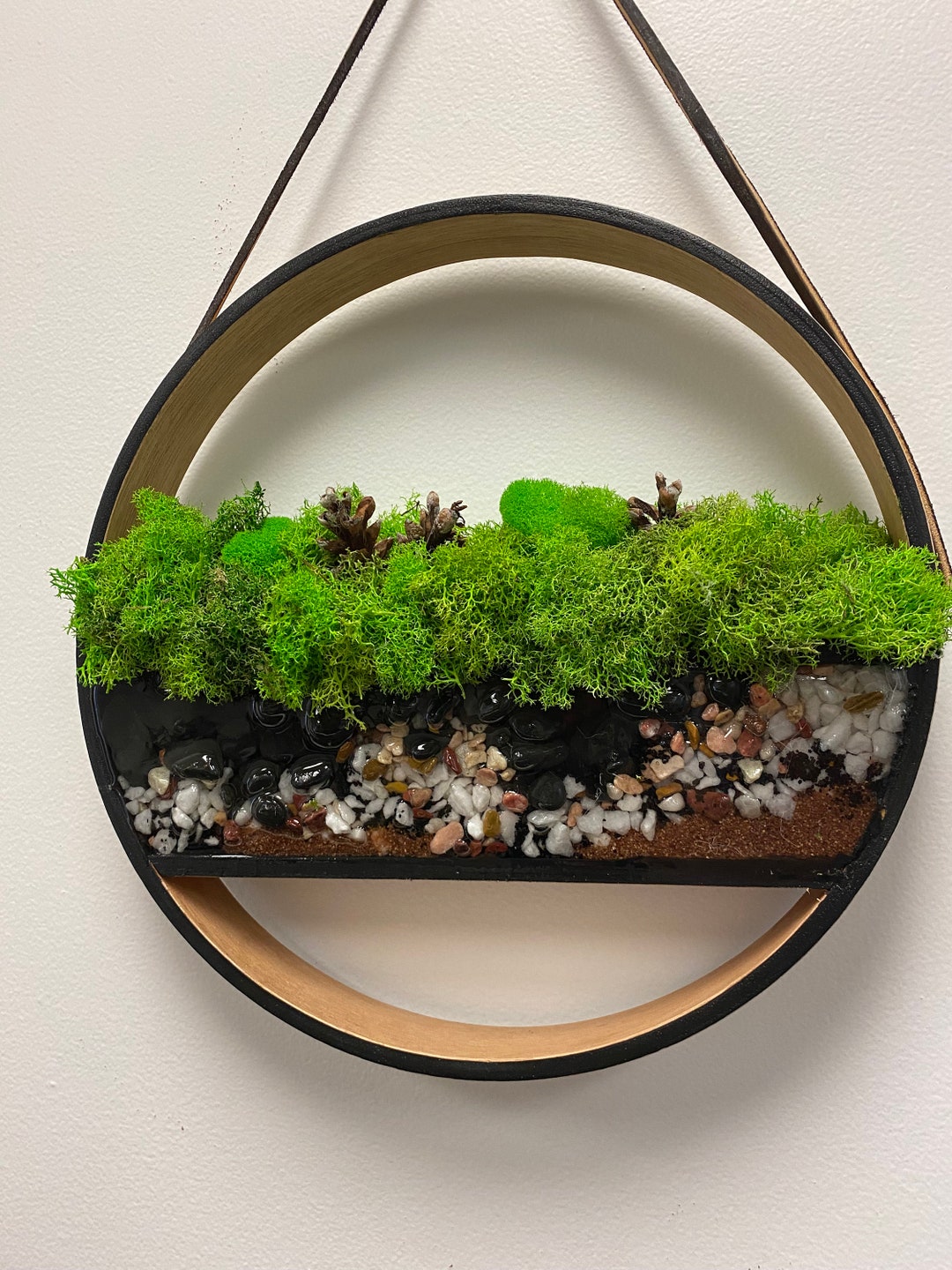 Round Wall Hanging Terrarium With Live Moss Unique Wall Etsy