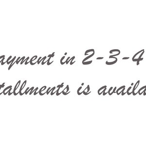 May include: Text that reads "Payment in 2-3-4 installments is available".