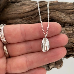 Silver cowrie shell necklace, silver cowrie pendant, silver shell necklace.