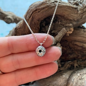 Tiny silver sea urchin.