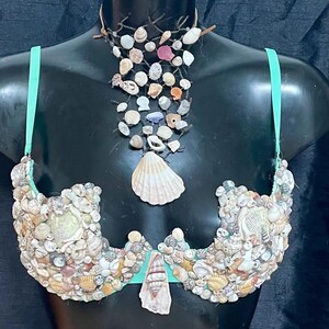 Può includere: Un set di reggiseno e collana di conchiglie esposto su un manichino nero. Il reggiseno e la collana sono adornati con varie conchiglie nei toni del bianco, beige e marrone. Il reggiseno ha spalline verde chiaro. La collana è infilata su una base marrone scuro.