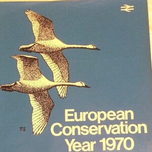 Vintage original transport poster wildlife and wildfowl