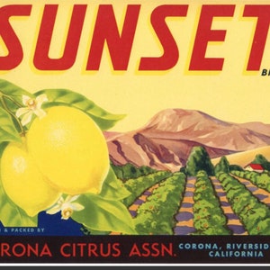 Citrus lemon sunset brand california vintage crate label 1940s