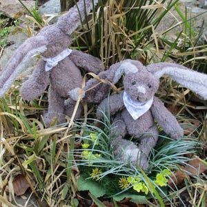 Könnte beinhalten: Zwei graue Plüschhasen mit langen Ohren und weißen Stoffschals um den Hals sitzen in einem Bett aus grünem Gras und braunen getrockneten Blättern.