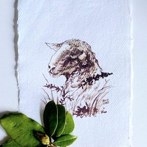 Original ink sheep drawing,artwork,ink drawing on hsndmade paper,gift