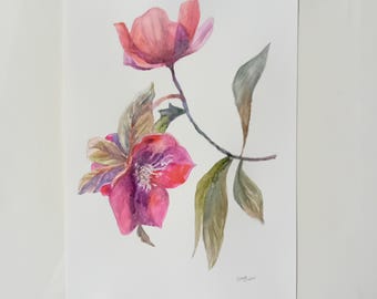 ニゲラの花のオリジナル水彩画：植物イラスト - Etsy 日本