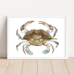 Blue Crab Watercolor Print, Blue Crab Art, Crab Art, Coastal Artwork, Coastal Watercolor, Crab Watercolor, Coastal Wall Art