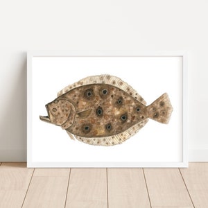 Flounder Watercolor Print, Flounder Art, Flounder Artwork, Flounder painting, Flounder Print, Fish Art, Watercolor Flounder, Flounder, Fish