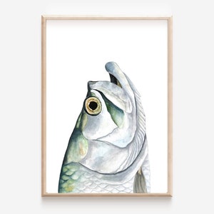 Tarpon Watercolor Print, Tarpon Art, Tarpon Head Watercolor Print, Tarpon Head Art, Tarpon Wall Art, Fish Art, Tarpon Print, Fish Art