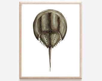 Horseshoe Crab Watercolor Print, Horseshoe Crab Art, Horseshoe Crab Wall Art, Horseshoe Crab Painting