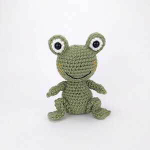 May include: A green crocheted frog toy with white eyes and a black smile. The frog is sitting on a white background.