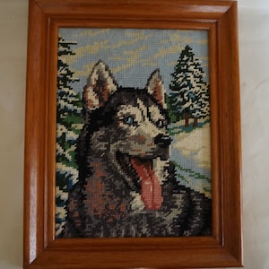 Vintage Framed  Canvas : A husky dog, Wall Hanging, 70&#39;s. Finished Needlepoint