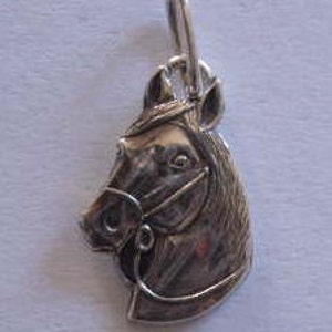 Pferd Anhänger. Sterling Silber Anhänger. Pferd Halskette Silber, Silber Medaillon