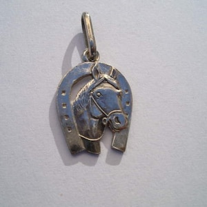 May include: Silver horseshoe charm with a detailed horse head design. The horseshoe is a symbol of good luck and fortune.