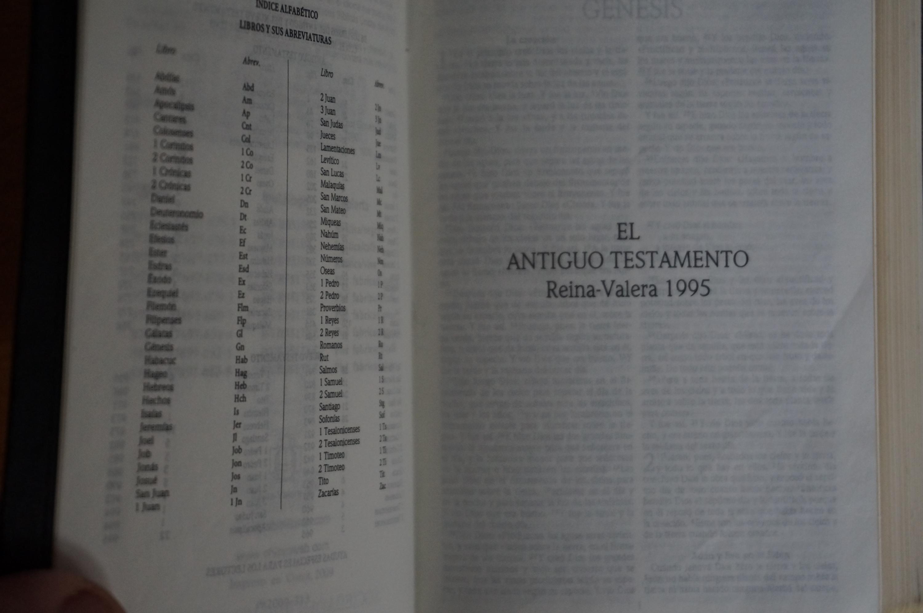 スペイン語で書かれた聖書 - Etsy 日本