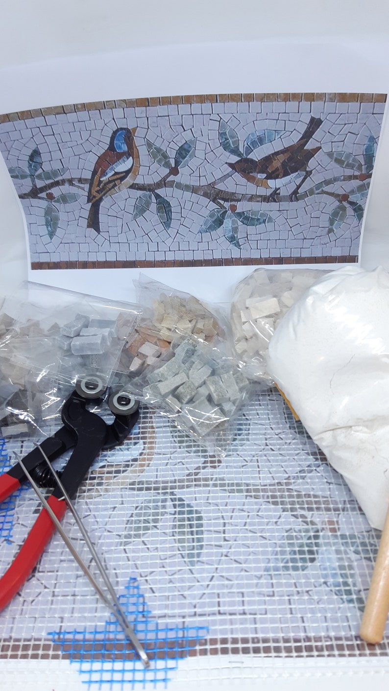 Kit mosaïque Frise d'oiseaux avec cours vidéo complet avec matériel image 1