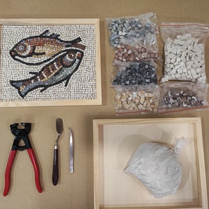 KIT MOSAIQUE DE POISSON avec leçon vidéo complet avec équipement image 6