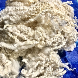 May include: A pile of raw, off-white sheep wool featuring long, distinct, and tightly curled locks. The fibers have a natural, textured appearance with varying degrees of crimp throughout the mass, showcasing the organic structure of the fleece.