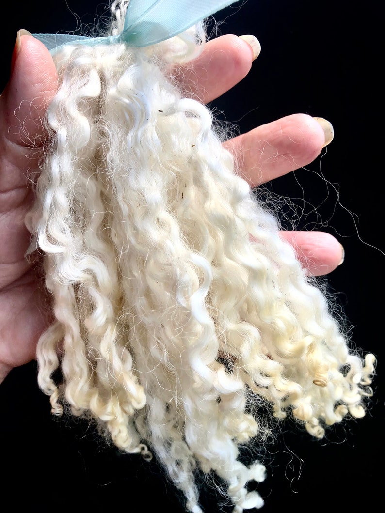 Silky Wensleydale lamb curly locks, hand washed and hand pulled, Pristine, beautiful locks 4 6 long, 1/2 ounce, no vm, felting, prime image 3