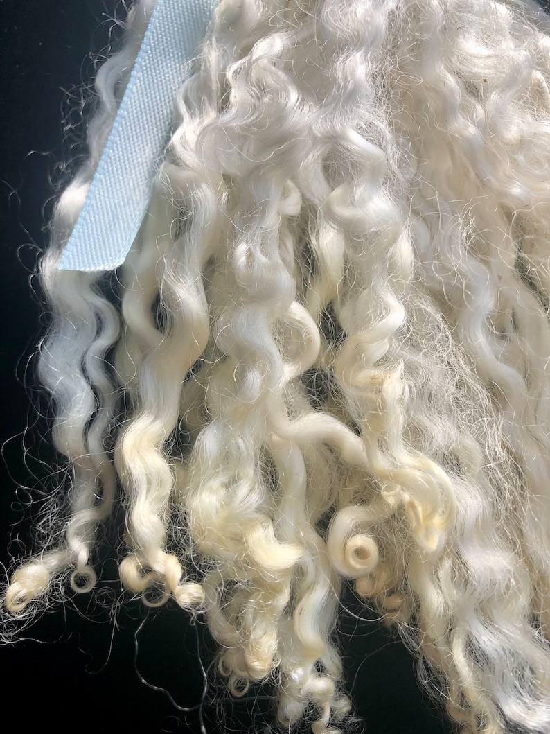 Silky Wensleydale lamb curly locks, hand washed and hand pulled, Pristine, beautiful locks 4 6 long, 1/2 ounce, no vm, felting, prime image 6