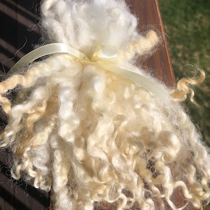 Silky Romney curly locks, hand washed and hand pulled, pristine beautiful locks 4”-5”  long 1/2 ounce no vm, felting, spinning, doll hair