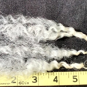 Silky, shiny Leicester longwool fleece, 2 ounces of hand washed,individual curls hand pulled, pristine locks 4 6 long, no vm, perfect 画像 3