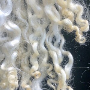Silky Wensleydale lamb curly locks, hand washed and hand pulled, Pristine, beautiful locks 4 6 long, 1/2 ounce, no vm, felting, prime image 4