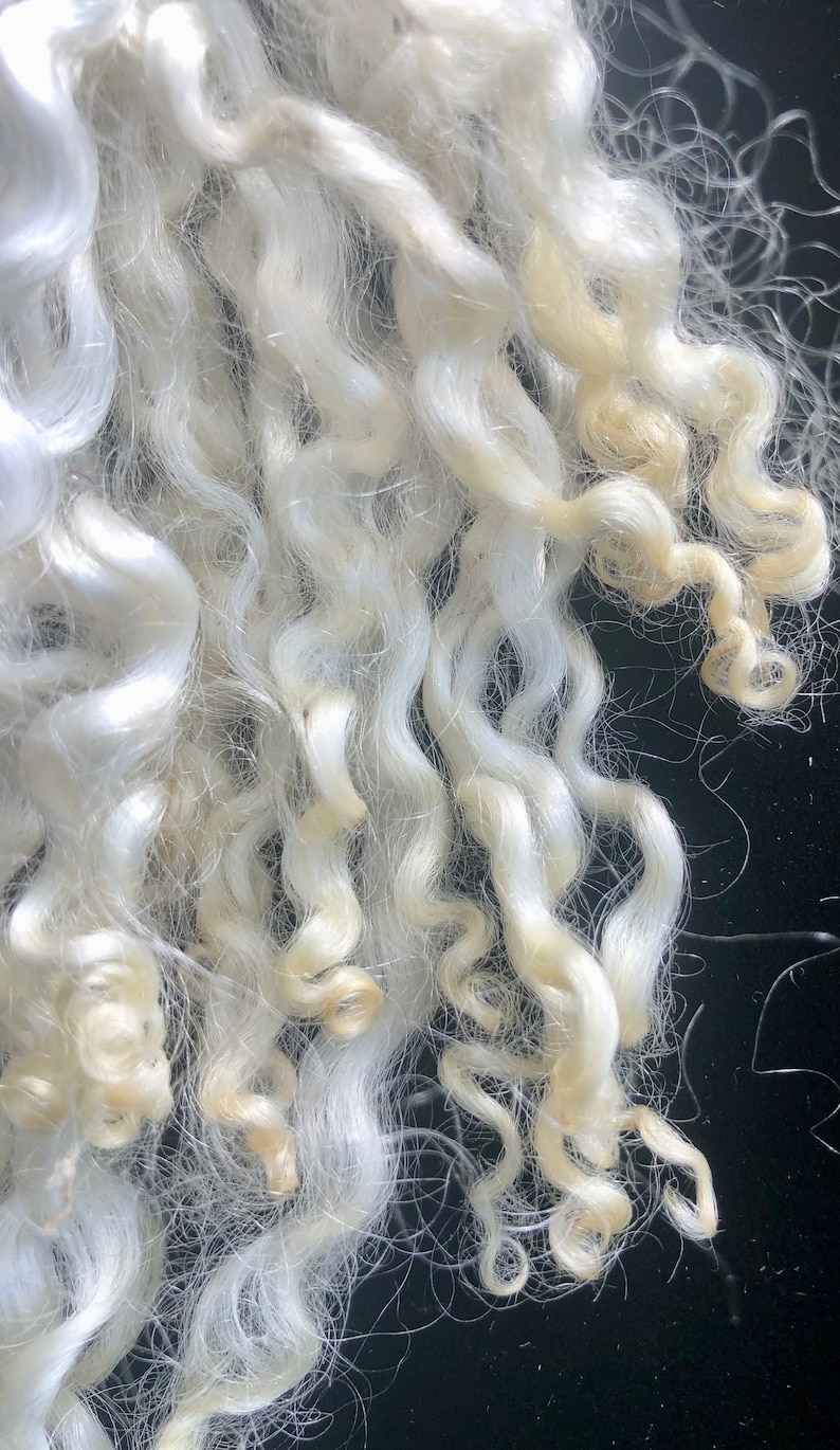 Silky Wensleydale lamb curly locks, hand washed and hand pulled, Pristine, beautiful locks 4 6 long, 1/2 ounce, no vm, felting, prime image 4